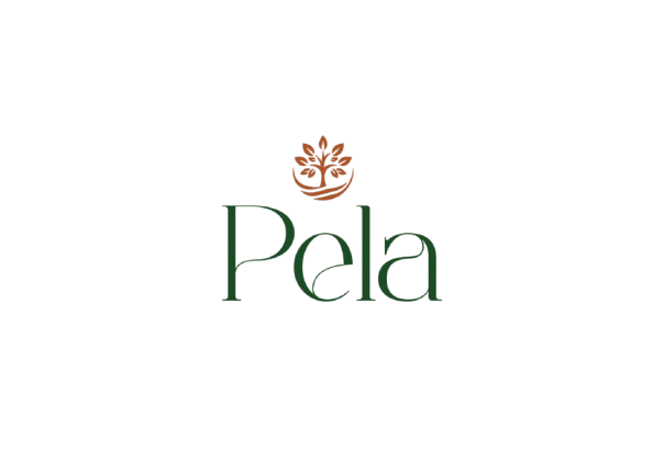 pela.lk-