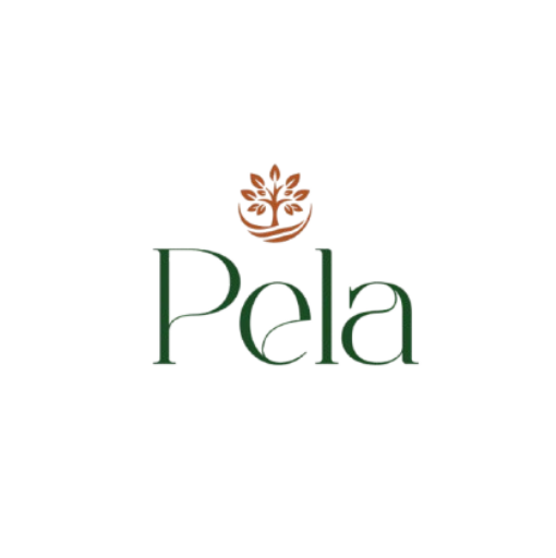 pela.lk-